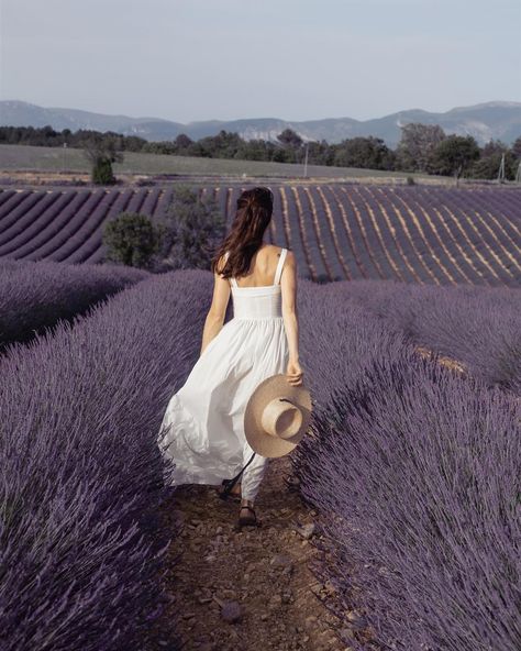 Lavender field photoshoot in Valensole, Provence, France. Beautiful woman on lavender field. Photoshoot ideas. Lavender aesthetic✨ Lavender Farm Photoshoot Outfit, Lavender Fields Photoshoot, Lavender Farm Outfit, Field Photoshoot Ideas, Lavender Field Photoshoot, Christian Branding, Lavender Fields Photography, 25th Bday, Bday Shoot