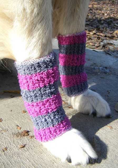 DIY Doggy Leg Warmers. (I didn't even have to change the description on this one) Dog Leg Warmers, Diy Leg Warmers, Dog Leg, Dog Clothes Diy, Dog Clothes Patterns, Leg Warmer, Clothes Diy, Dog Items, Pet Fashion