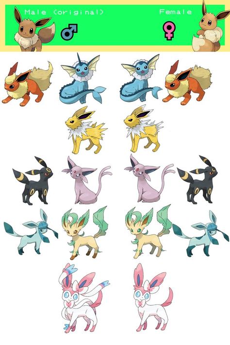 Different Eeveelutions, Eeveelutions All Types, Eeveelutions Redesign, Fanmade Eeveelutions, Evee Pokemon, Eevee Art, All Eeveelutions, Eeveelutions Art, All Eevee Evolutions