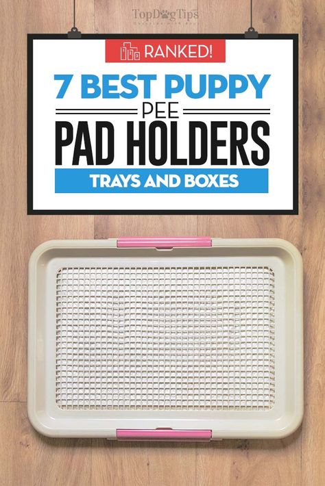 Puppies are cute; there is no denying that. But, puppies also make a big mess. They chew, shred up toys and go to the bathroom in the house. Potty training is usually the first thing that new dog owners work on with their pup, and it can be quite frustrating. Potty training a puppy takes a lot of time and patience. Plus, you’ll need the right tools, like the best puppy pee pad holder. #puppy #puppies #peepads #housetrain #housebreaking #puppysupplies #dogs #dogsupplies #pets Dog Potty Diy, House Breaking A Puppy, Training A Puppy, Puppy Diy, Puppy Pads Training, Dog Pee Pads, Potty Pads, Puppy House, Dog Potty Training