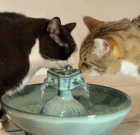 Kitty Furniture, Pet Fountain, Cat Water Bowl, Pet Room, Cat Fountain, Cat Water Fountain, Pet Water Fountain, Drinking Fountain, Cat Things