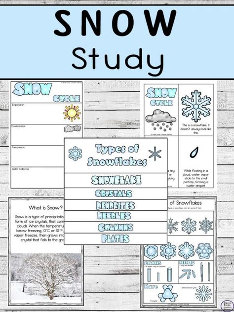 Snowflake Unit Study, Snow Worksheets, Eal Activities, Snowflake Science, Types Of Snowflakes, Snowflakes Science, Snow Science, Rainforest Activities, Winter Science Activities