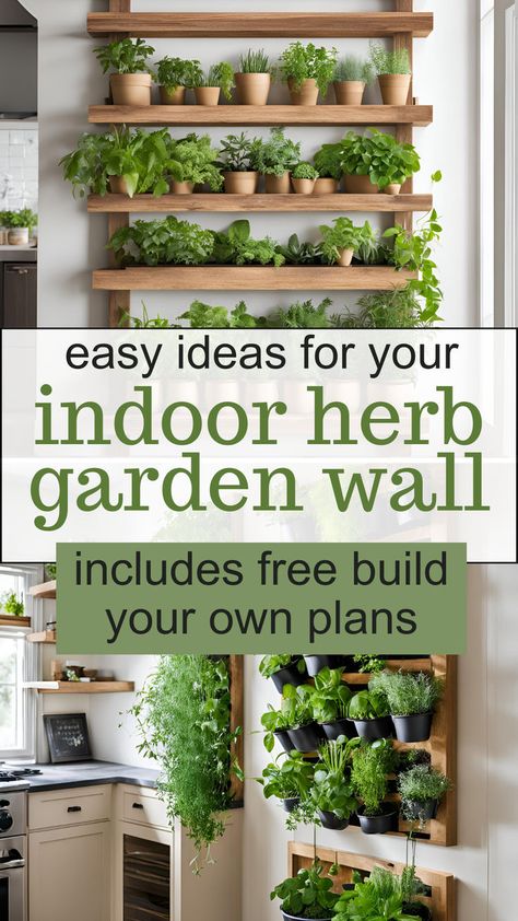 Easy Ideas for your indoor herb garden wall - includes free build your own plans. Images of wooden vertical herb wall planters. Indoor Herb Garden Wall, Indoor Edible Garden, Indoor Container Garden, Indoor Herb Garden Ideas, Apartment Herb Gardens, Garden Wall Ideas, Build Your Own Garden, Herb Garden Wall, Herb Garden In Kitchen