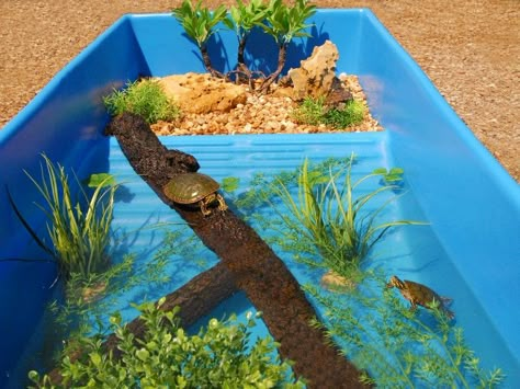 Turtle Tub, Pet Turtle Care, Turtles Pet, Water Turtles, Turtle Enclosure, Turtle Tanks, Turtle Terrarium, Turtle Aquarium, Turtle Care