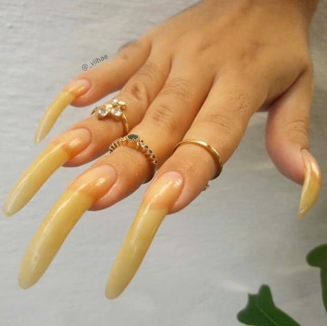 @lsp.nails on Instagram: “Credit: @_viihae 💅 YouTube: search viihae ~~~~~~~~~~~~~~~~~~~~~~~~~~~~~~ These amazing long, natural nails belong to @_viihae ! They are so…” Seductive Nails, Rose Gold Diamond Earrings, Black Diamond Stud Earrings, Long Natural Nails, Long Fingernails, Long Toenails, Emerald Stud Earrings, Black Diamond Earrings Studs, Curved Nails