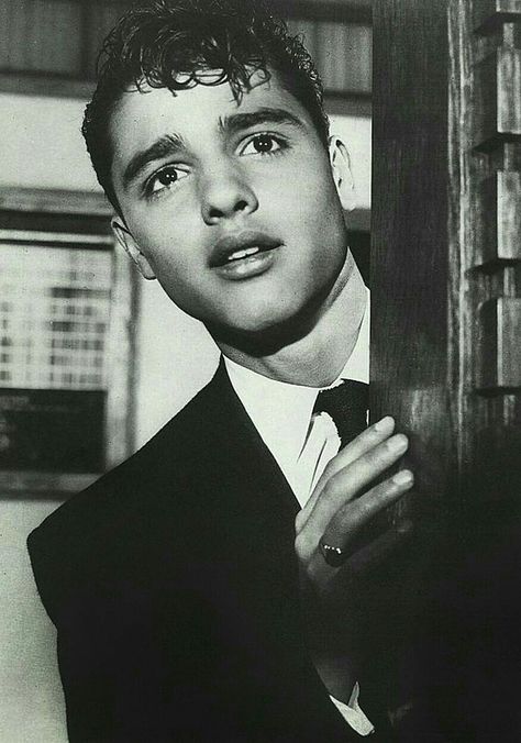 Sal Mineo, Nicholas Ray, Celebrities Who Died, I Love Cinema, Classic Movie Stars, Actrices Hollywood, Hollywood Legends, James Dean, Famous Men