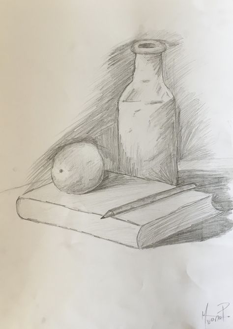 still life Easy Drawings Still Life, Still Life Drawing For Beginners Easy, Still Life Pencil, Easy Still Life Drawing, Still Life Sketch, Life Sketch, Skeleton Drawings, Animation Art Sketches, Value In Art