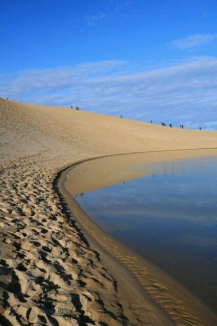 Tottori Sand Dunes Japan, Tottori Japan, Desert Scenes, Shimane, Tottori, Okayama, King Of Hearts, Japan Photo, The Dunes