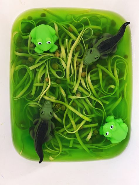 Edible sensory bin! Noodles, smushed peas, and food coloring! Sensory Bin Jungle Theme, Barbie Sensory Bin, Sensory Bin Edible, Reptile Sensory Bin, Jungle Sensory Play, Lizard Sensory Bin, Tropical Sensory Bin, Reptile Sensory Activities, Reptiles Sensory Bin