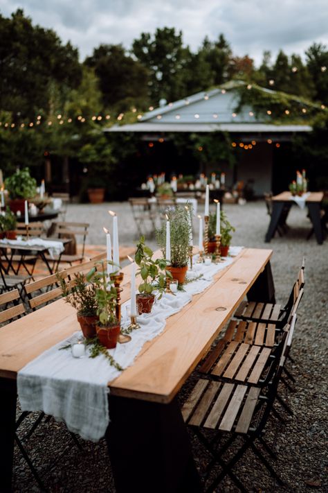 Plants For Centerpieces, Potted Plant Centerpieces, New York Garden, Plant Centerpieces, Wedding Plants, Artificial Hydrangeas, Plant Table, Flowers Wallpaper, Botanical Wedding