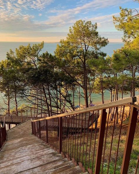 Vivre le Bassin d’Arcachon on Instagram: "Vous descendrez bien quelques marches ? 📷 @poulettetcanette ・・・ #bassindarcachon #latestedebuch #lacorniche #stairs #escaliers #bassinarcachon" Summer In France, Summer Vacation Aesthetic, French Holiday, Tree Identification, France Aesthetic, Cap Ferret, Paradise On Earth, Sustainable Travel, Summer Dream