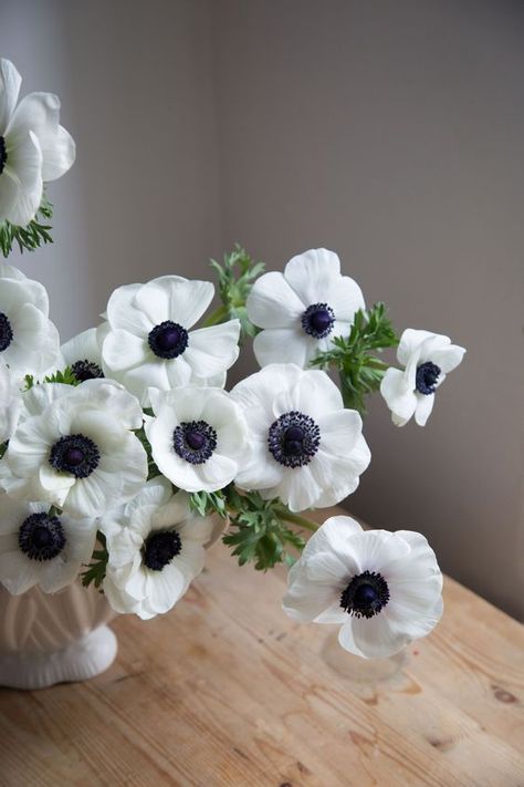 Anenome Flower, Flower Anemone, Simple Vase, White Anemone, Flower School, Flower Inspiration, Anemone Flower, Vase Arrangements, Wedding Plans