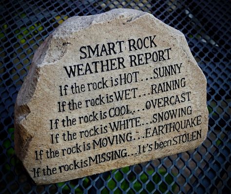 Rock Meme, Weather Rock, Funny Rock, Gag Gifts Christmas, Painted Rocks Diy, Rock Painting Ideas Easy, Weather Report, Rock Painting Designs, Stone Crafts