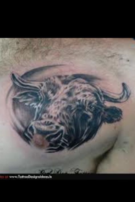 Taurus Tattoo Tx Tattoo, Texas Tattoos, Taurus Tattoos, E Tattoo, Book Tattoo, Texas State, Chest Tattoo, How Train Your Dragon, Tattoo Shop