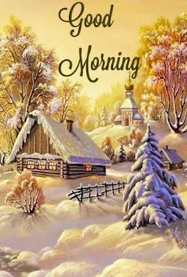 Good Morning Christmas Season, Photos Of Good Morning, December Greetings, Good Morning Hd Images, Whatsapp Good Morning, Good Morning Hd, Chicken Jokes, Very Good Morning Images, Best Good Morning Images