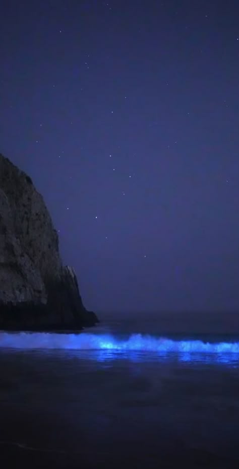 Aesthetic Ocean Pictures Dark, Glowing Ocean Water, Bioluminescence Aesthetic Wallpaper, Bio Luminescence Beach, Bioluminescence Beach Wallpaper, Bioluminescence Beach Aesthetic, Bioluminescence Wallpaper, Bioluminescence Beach, Bioluminescence Aesthetic