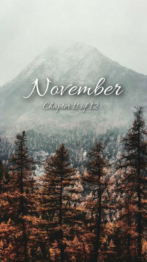 November Chapter 11 Of 12 Wallpaper, Chapter 11 Of 12 November, January Chapter 1 Of 12 Wallpaper, Hello Months Of The Year, August Chapter 8 Of 12, December Chapter 12 Of 12, November Chapter 11 Of 12, Chapter 11 Of 12, Month Backgrounds