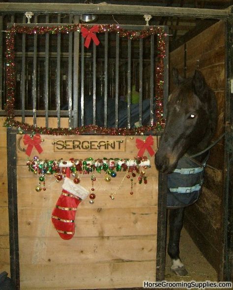 stall decoration the blanket bar I love Christmas Horse Stall, Horse Stall Decorations, Christmas Stall Ideas, Horse Stalls Doors, Stall Decorations, Stall Door, Christmas Door Decorating Contest, Horse Stall, Horse Facility