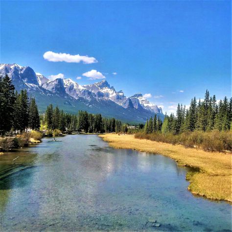 Policeman Creek, Canmore, Alberta Cochrane Alberta, Canmore Alberta, Policeman, Alaska, Nature Photography, Forest, Natural Landmarks, Photography, Travel