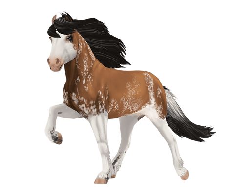 Star Stable Horses, Island Horse, Horse Star, Game Star, Star Stable Online, Welsh Pony, American Paint, Akhal Teke, Icelandic Horse