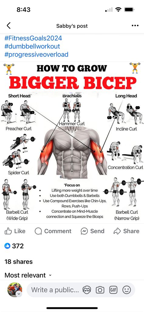 Push Pull Legs Workout, Big Biceps Workout, Concentration Curls, Push Pull Legs, Bicep Workout, Bicep Muscle, Best Workout Routine, Preacher Curls, Big Biceps