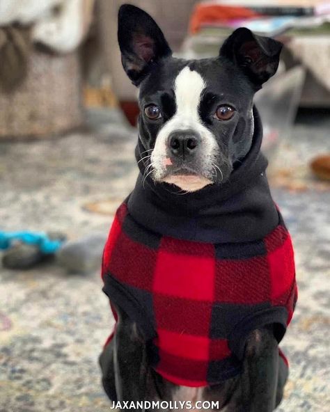 Turtleneck sweater dress