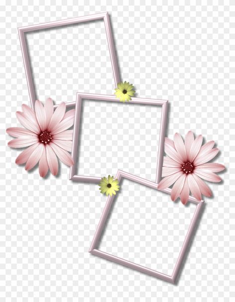 Frame Png Templates, Multiple Photo Frames, Png Collage, Edit Photo Frame, Collage Photo Frame Design, Romantic Frame, Wedding Png, Cute Backgrounds For Iphone, Flower Picture Frames