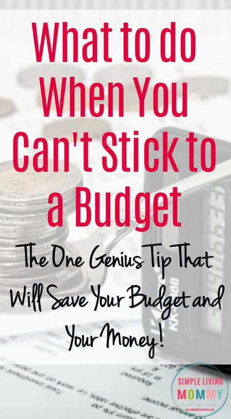 Budget 101, Budget Board, Retirement Budget, Frugal Habits, Money Planner, Saving Money Frugal Living, Money Budget, Finance Jobs, Financial Responsibility