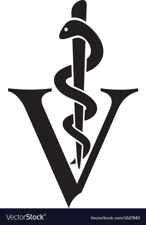 Veterinarian Tattoo Ideas, Veterinarian Tattoo, Vision Board Assignment, Veterinary Symbol, Caduceus Tattoo, Tech Tattoo, Med Vet, Vet Medicine, Palm Tree Silhouette