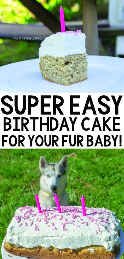 Easy Puppy Birthday Cake Recipe - Designing Tomorrow Best Dog Birthday Cake Recipe, Diy Dog Cakes For Dogs, Birthday Cake For Puppies, Safe Dog Cake Recipe, Dog Safe Birthday Treats, Easy Birthday Cake For Dogs, Diy Cake For Dogs, Easy Dog Cakes For Dogs, Easy Puppy Cake For Dogs