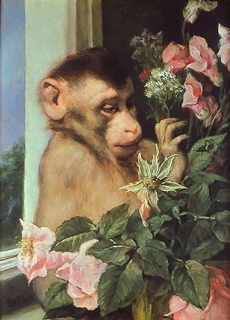 Paintings Of Monkeys, Baboon Aesthetic, Victorian Animals, Monkey Painting, Paint Monkey, Amber Tree, Pink Monkeys, Monkey Art, Antique Oil Painting