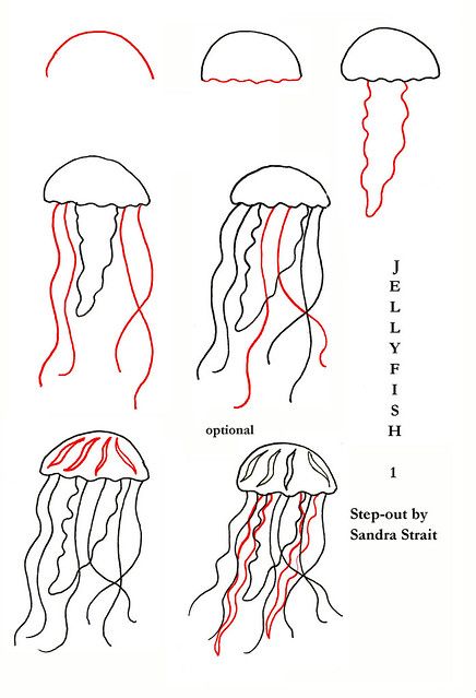 Jellyfish Stepout | Fun & Easy Landscape Step-out tutorial. … | Flickr Jellyfish Quotes, Jellyfish Facts, Glowing Jellyfish, Jellyfish Jewelry, Jellyfish Illustration, Jellyfish Photography, Jellyfish Decorations, Watercolor Jellyfish, Jellyfish Painting