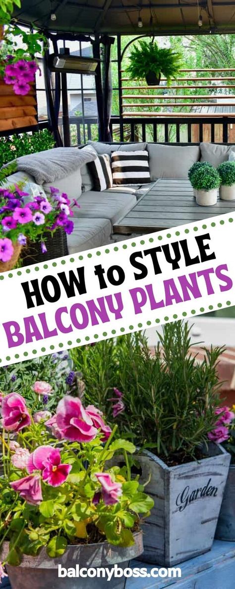 Learn how to style balcony plants and engage all 5 senses in your space for a balcony or patio that's a pleasure to be in! Plants are a perfect way to add more than just greenery to a balcony. With the right styling, you can use them for texture, color and pattern, both in the plants and their pots. Click through for our best 5 balcony styling tips. Balcony Styling, Balcony Herb Gardens, Small Apartment Balcony Ideas, Balcony Gardening, Balcony Planters, Tiny Balcony, Small Balcony Garden, Patio Inspiration, Balcony Plants