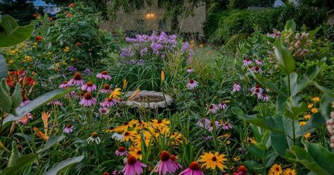 Your 12-Month Garden Checklist for North Texas | The Dallas Garden Native Plant Garden Tennessee, North American Native Garden, How To Plant A Native Garden, Native Lawn Landscaping, Austin Texas Landscaping Native Plants, Australian Native Pollinator Garden, Northeast Native Garden, Maryland Native Garden, Gardening With Grasses