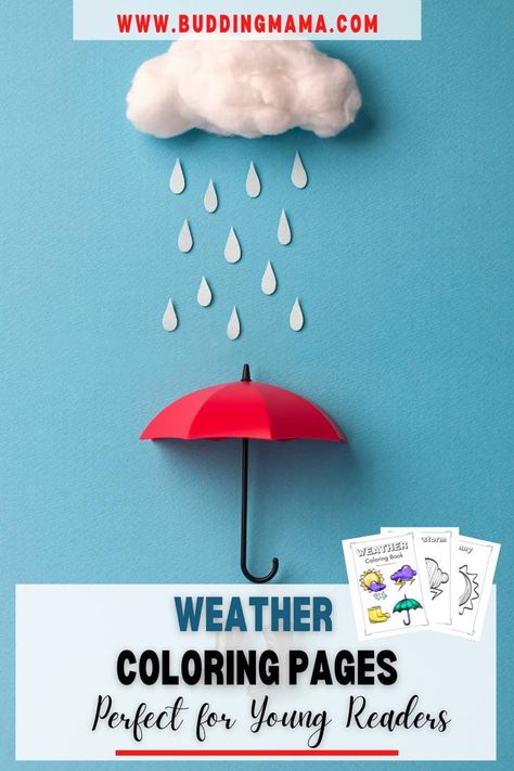 A FREEBIE that is great for young learners that pairs with a weather or seasons curriculum but is especially fun for a quick rainy day idea. Help refine those fine motor skills with pictures that are large enough for preschoolers with weather terms that are great for up to 1st grade. Simply print and COLOR. Rainy Season Chart For Preschool, Rainy Season Board Decoration Ideas, Rainy Day Activities For Preschoolers, Seasons Chart, Rainy Day Pictures, Seasons Lessons, Rainy Day Activities For Kids, Weather Projects, Weather Crafts