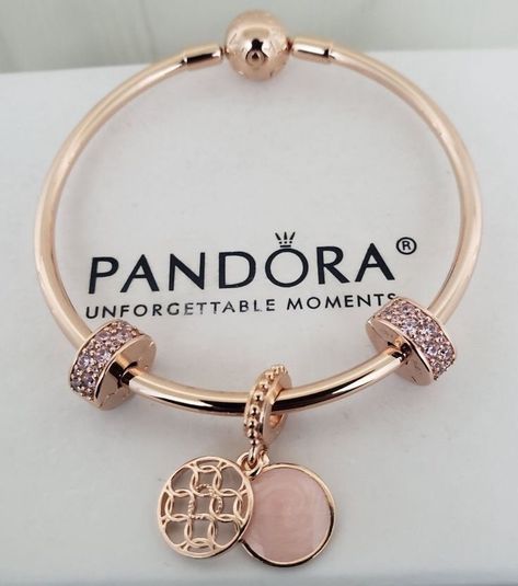 Pandora Bracelet Ideas, Pandora Bracelet Charms Ideas, Pandora Bracelet Designs, Rose Patterns, Pandora Bangle, Inexpensive Jewelry, Pandora Jewelry Charms, Pandora Rose, Set Bracelet