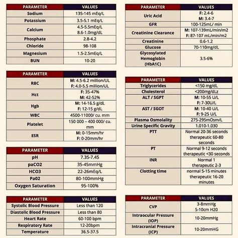 Medical Doctors Worldwide on Instagram: “Table of normal lab values” Normal Lab Values Nursing, Normal Lab Values, Nclex Notes, Medical Lab Technician, Nursing Cheat Sheet, Medical Laboratory Technician, Nursing Cheat, Blood Work, Normal Values