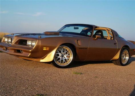 Pontiac Firebird 1970, 1978 Pontiac Trans Am, Trans Am Gta, Pontiac Firebird For Sale, Pontiac Firebird 400, Trans Am For Sale, 2002 Pontiac Firebird, Firebird Formula, Pontiac Trans Am