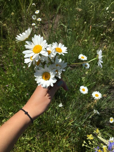 Flower girl vibes/ aesthetic Childish Girl Aesthetic, Kind Girl Aesthetic, Childish Aesthetic, Grey Vibes, Flower Child Aesthetic, Kit Kittredge, Wild Daisies, Pure Happiness, Rainbow Aesthetic