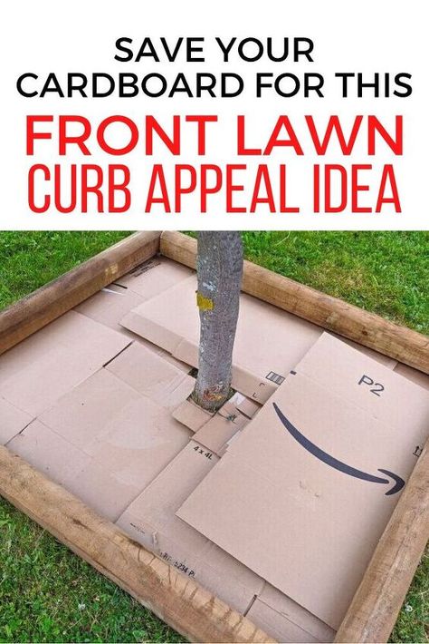 Diy Tree Base, Front Yard Tree Landscaping, Acnh Garden, Easy Front Yard Landscaping, Landscaping Decor, Mailbox Landscaping, Curb Appeal Landscape, Trees For Front Yard, Diy Curb Appeal