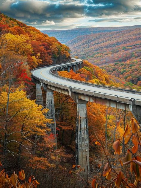 Blue Ridge North Carolina, Blue Ridge Parkway Virginia, Allegheny Mountains, Blue Ridge Parkway, Best Pics, Blue Ridge, West Virginia, Travel Usa, Arm Tattoo