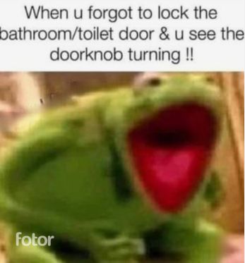 Just look at the door if its closed and theres a light on theres most likely and being inside Funny Muppets, Kermit Memes, Frog Meme, Humor Mexicano, Clean Memes, Funny Animal Jokes, Relatable Post Funny, Art Tattoos, Memes Humor