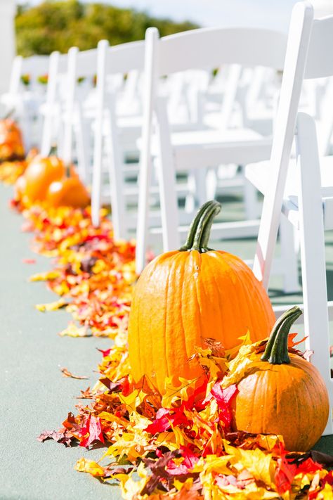 Silver Tinsel Tree, Photo Centerpieces, Fall Wedding Ideas, Pumpkin Wedding, Halloween Themed Wedding, Romantic Backdrop, Easy Backdrops, Budget Friendly Wedding, Themed Wedding Cakes