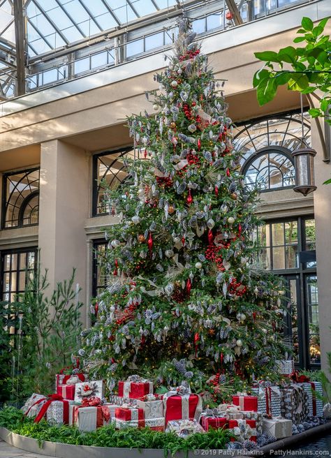 Longwood Gardens Christmas, Forest Cafe, Longwood Gardens, Modern Garden Design, Garden Christmas, Lifestyle Blogs, Garden Oasis, Vegetable Garden Design, Garden Landscape Design