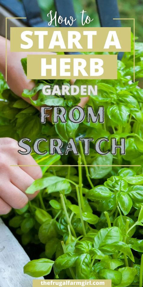 How to Plant Your Herb Garden 4 Starting Herbs From Seeds, Growing Herbs Outdoors, Garden In Kitchen, Herbs For Beginners, Growing Herbs In Pots, Raised Herb Garden, Patio Herb Garden, Bountiful Kitchen, Best Herbs To Grow