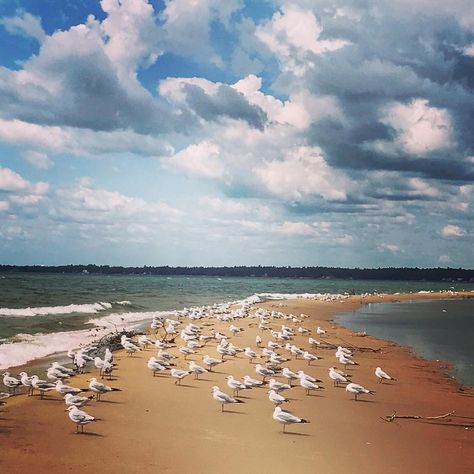 Oscoda Michigan, Beaches In Michigan, Ishpeming Michigan, East Lansing Michigan, Lake St Clair Michigan, Lake Michigan Beaches, Mackinac Bridge, Lake Huron, Lake Ontario