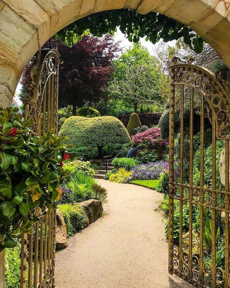 Beautiful Garden Entrance! . 🎯DoubleTap & Tag Your Friends 🔝Follow us @homegardenstore Hever Castle, Kent England, Garden Entrance, Childhood Home, Castle Garden, European Antiques, Formal Gardens, Anne Boleyn, Garden Pathway