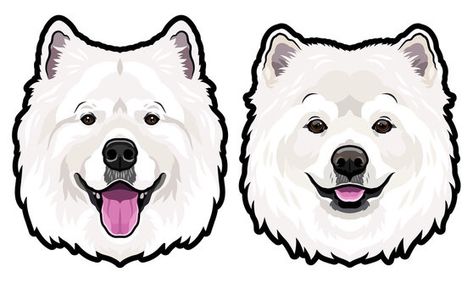 Japanese Spitz Dog, Dog Caricature, Spitz Dogs, Outline Images, Japanese Spitz, Samoyed Dogs, Dog Illustration, Animal Logo, Cartoon Dog