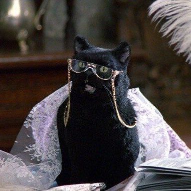 Was Salem from Sabrina The Teenage Witch anyone else's favourite TV character growing up?   #catpeople  #catsofinstagram #cat #cats #catstagram #blackcatsofinstagram #catsofig #halloween #meow #blackcats #instacat #catlover #catlovers Sabrina Cat, Salem Saberhagen, Salem Cat, Golden Girls Quotes, Sabrina The Teenage Witch, Tv Character, Cat People, Wearing Glasses, Cat Posters