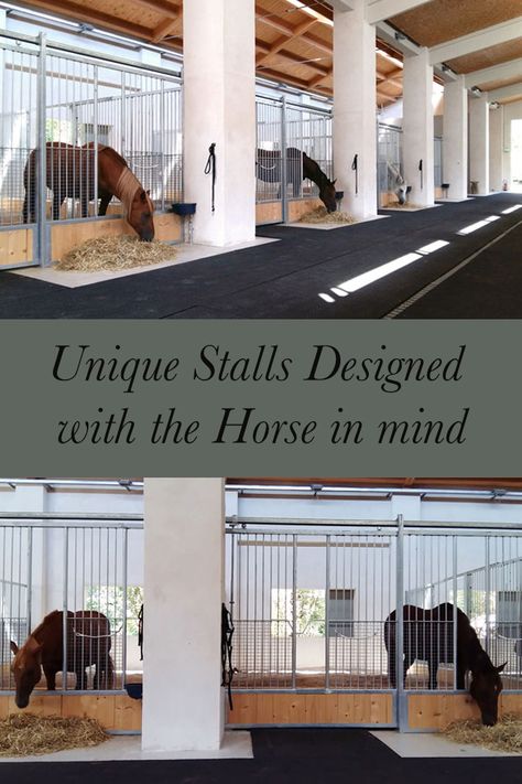 La Prospera Centro Equestre is a gorgeous facility in Italy. This boarding stable has beautiful stalls that were built with the horse in mind. Indoor Arena Ideas, Horse Barns Ideas, Diy Horse Stalls, Horse Stall Name Plates, Equine Property, Horse Stall Ideas, Horse Stalls Diy, Horse Barn Ideas, Barns And Stables